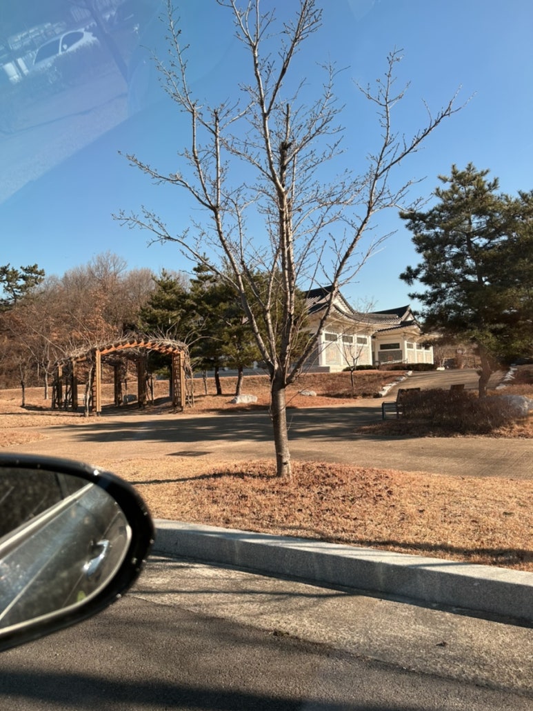 아피노 이미지