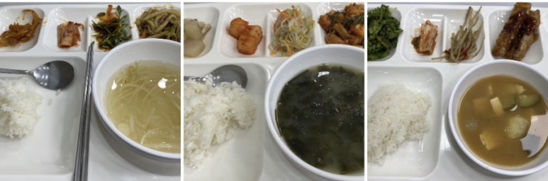 네코주 이미지