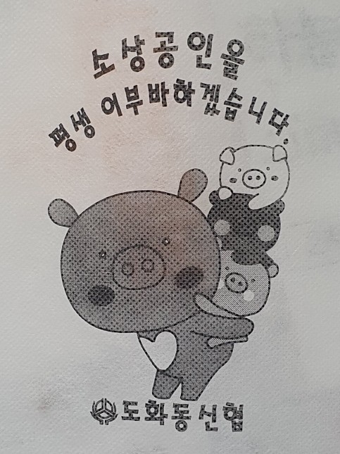 의픔장어 이미지