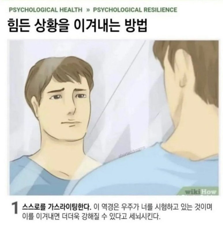 밀숲 이미지