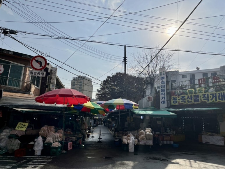 움찬 이미지