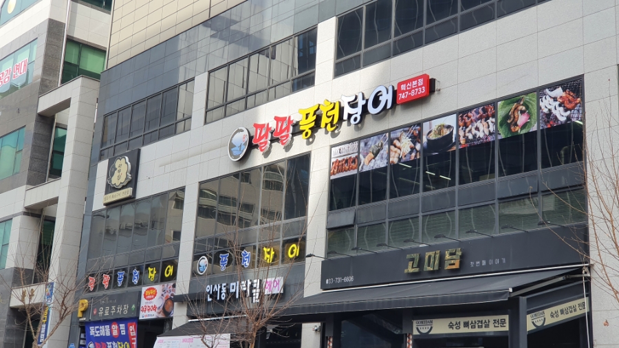 일삼일오 이미지