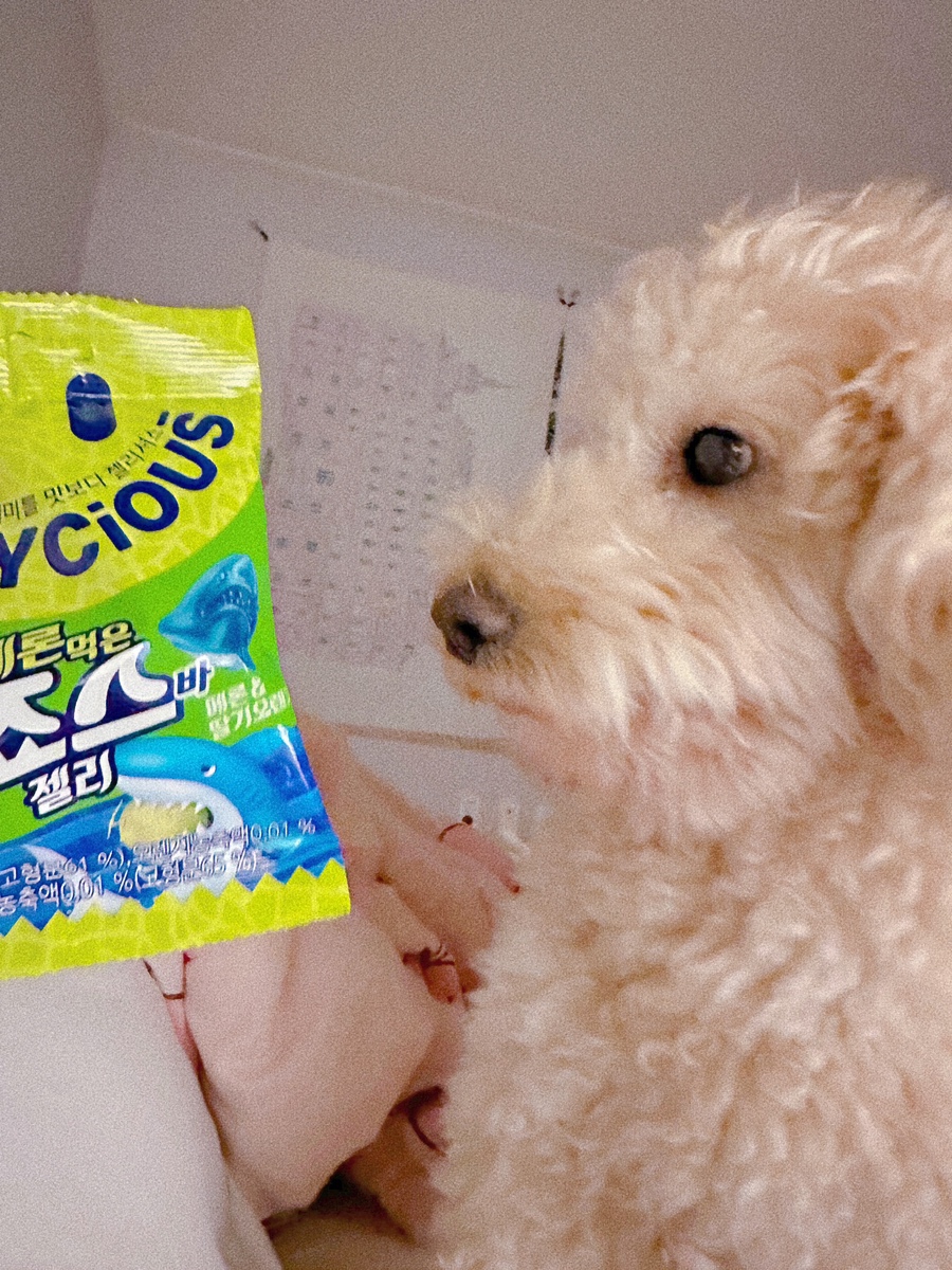 비에이치씨치킨외도점 이미지