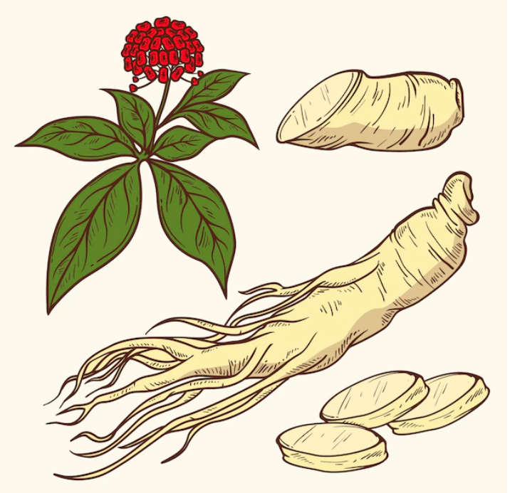 이석푸드 이미지