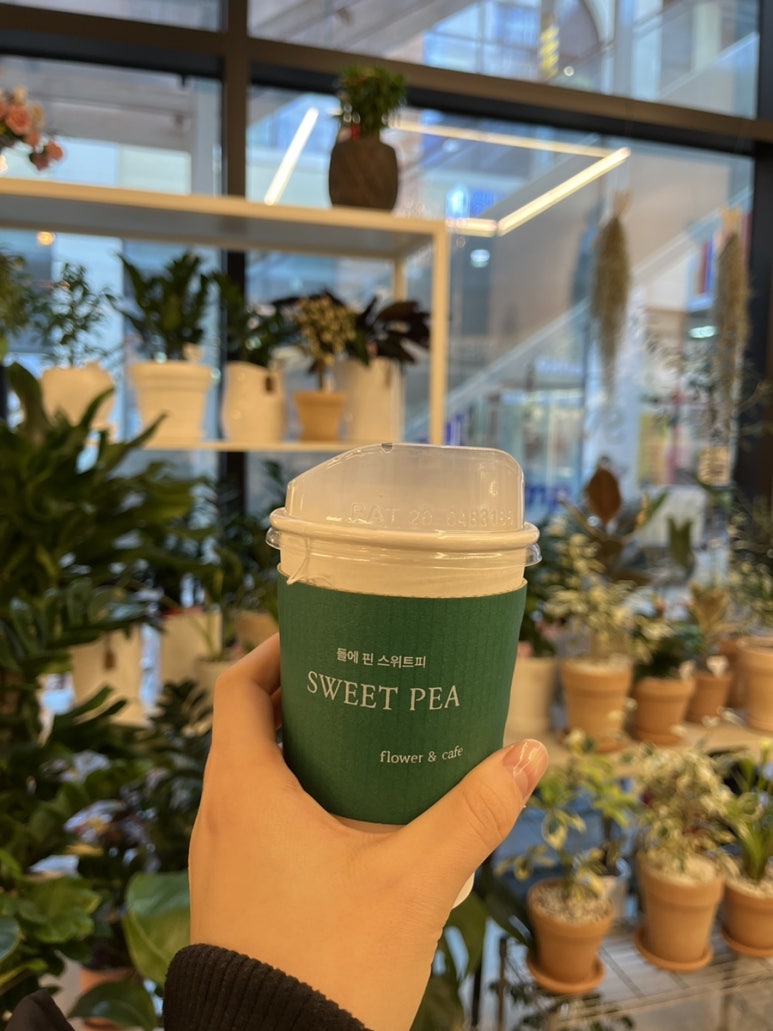 들에핀스위트피 이미지