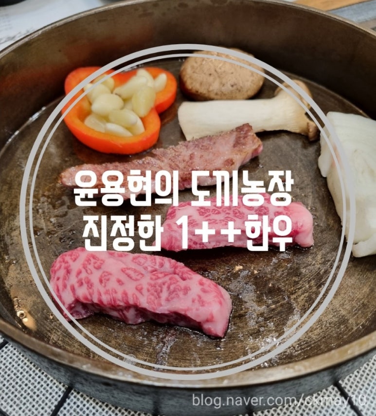 윤용현의도끼농장 이미지