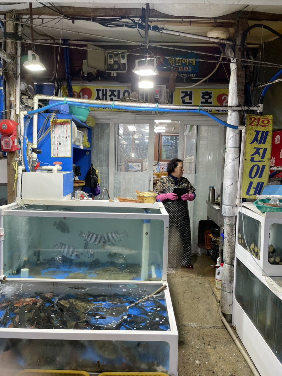 21호재진이네 이미지