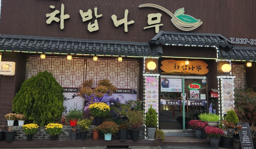 차밥나무 이미지
