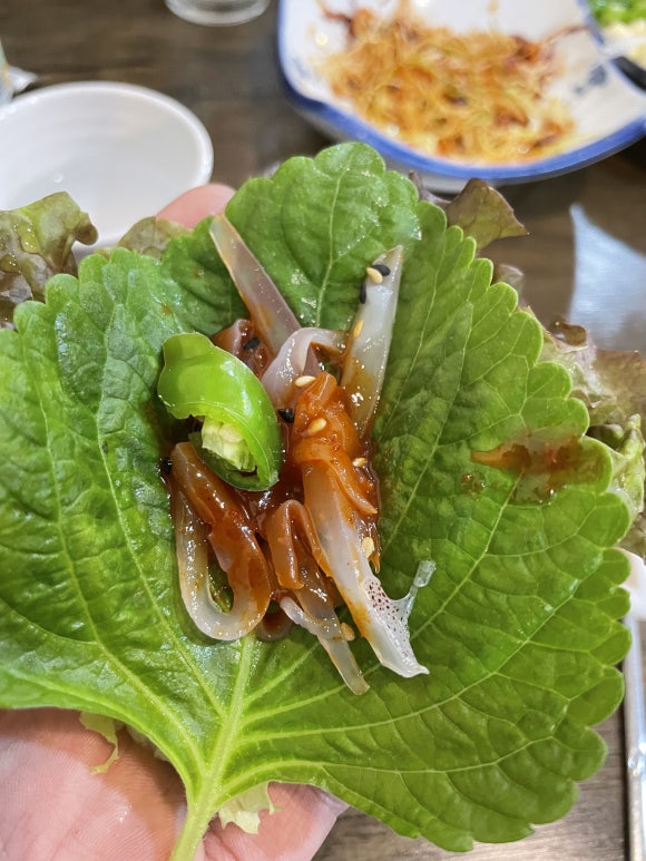 산오징어회와친구들 이미지