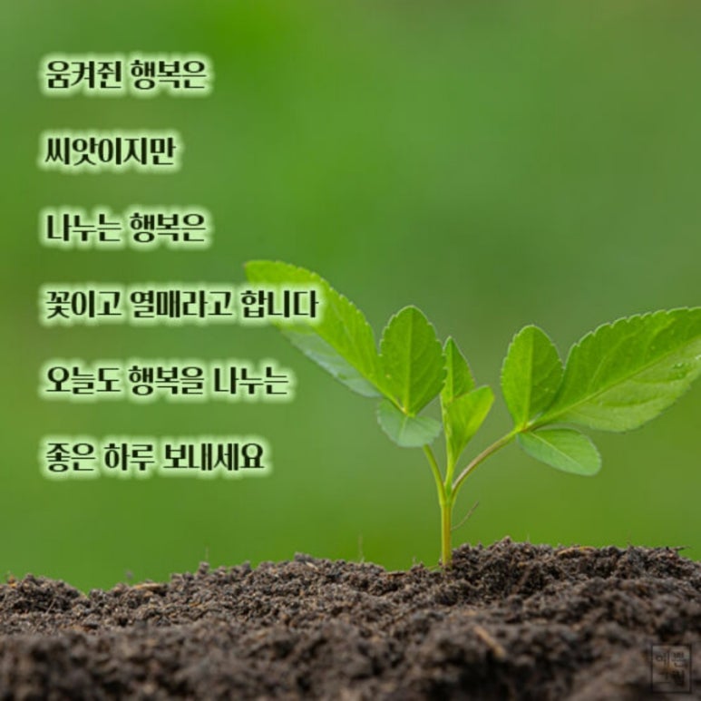 오늘도;빛나 이미지