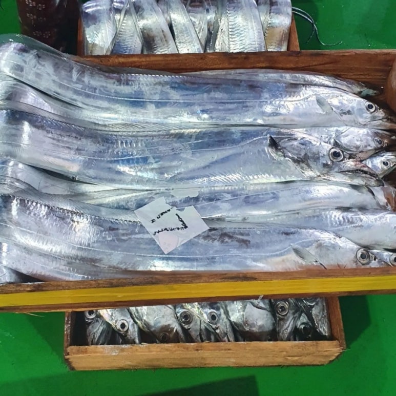 제주시수산업협동조합 이미지