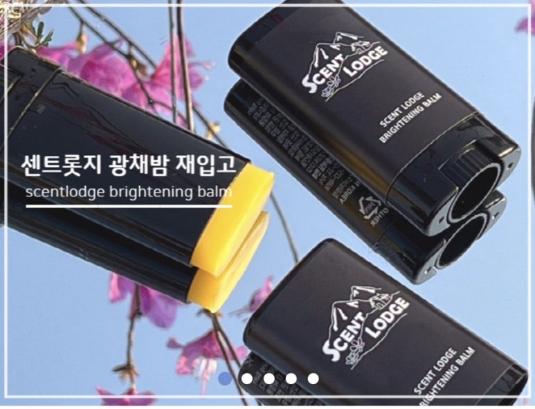 센트롯지 이미지