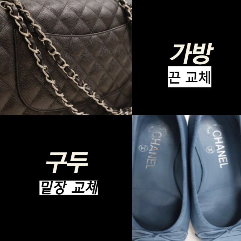 플라쏘 이미지