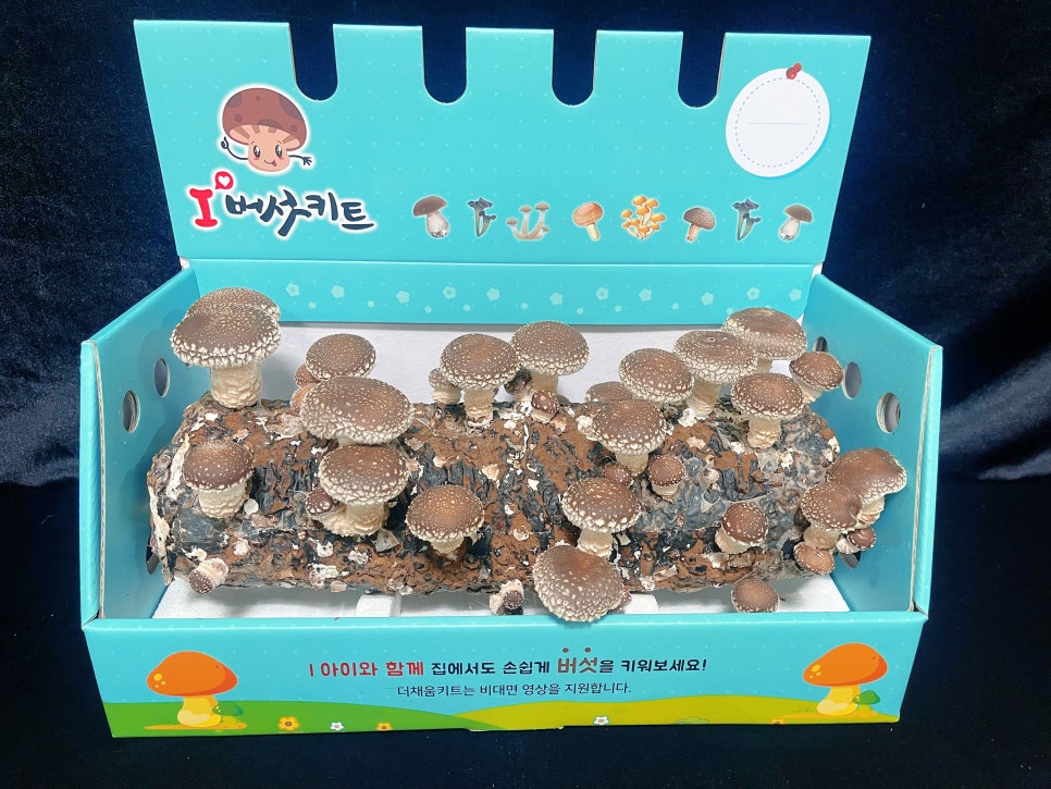 오늘더채움 이미지