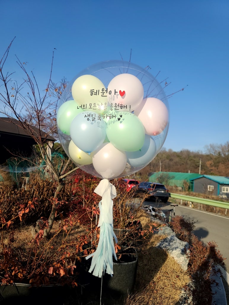 루다제이 이미지
