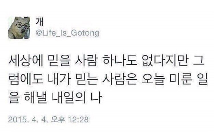패브릭일상 이미지