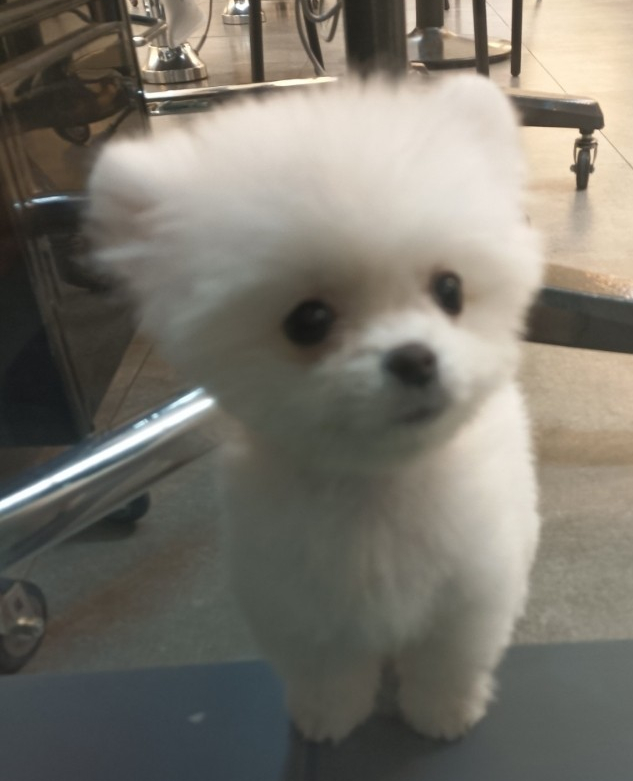 라네프살롱 이미지