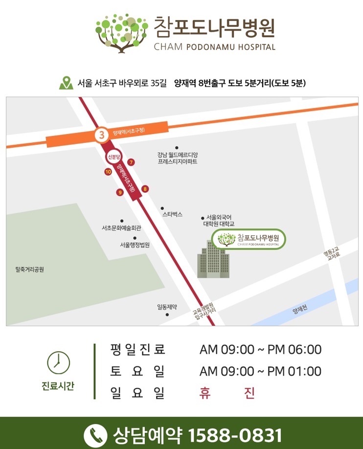 참포도나무병원 이미지