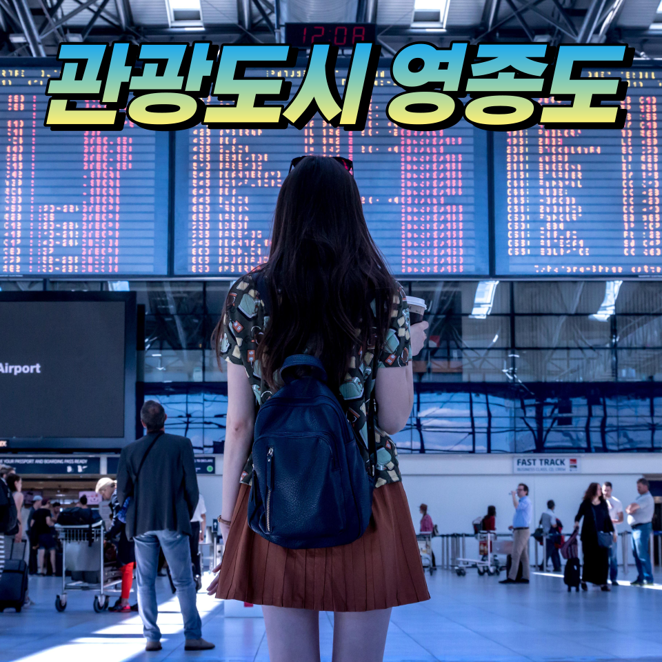 주식회사 스카이여행사 이미지