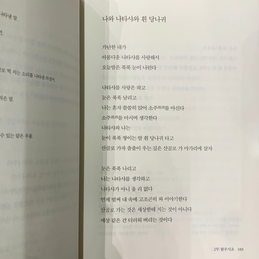흰당나귀 이미지