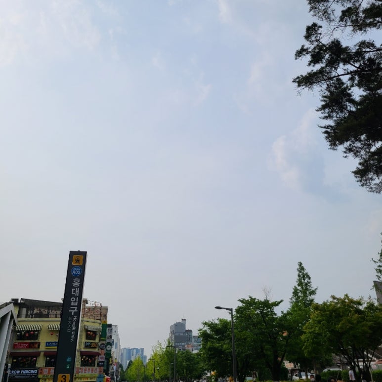 잼잼 사진 3