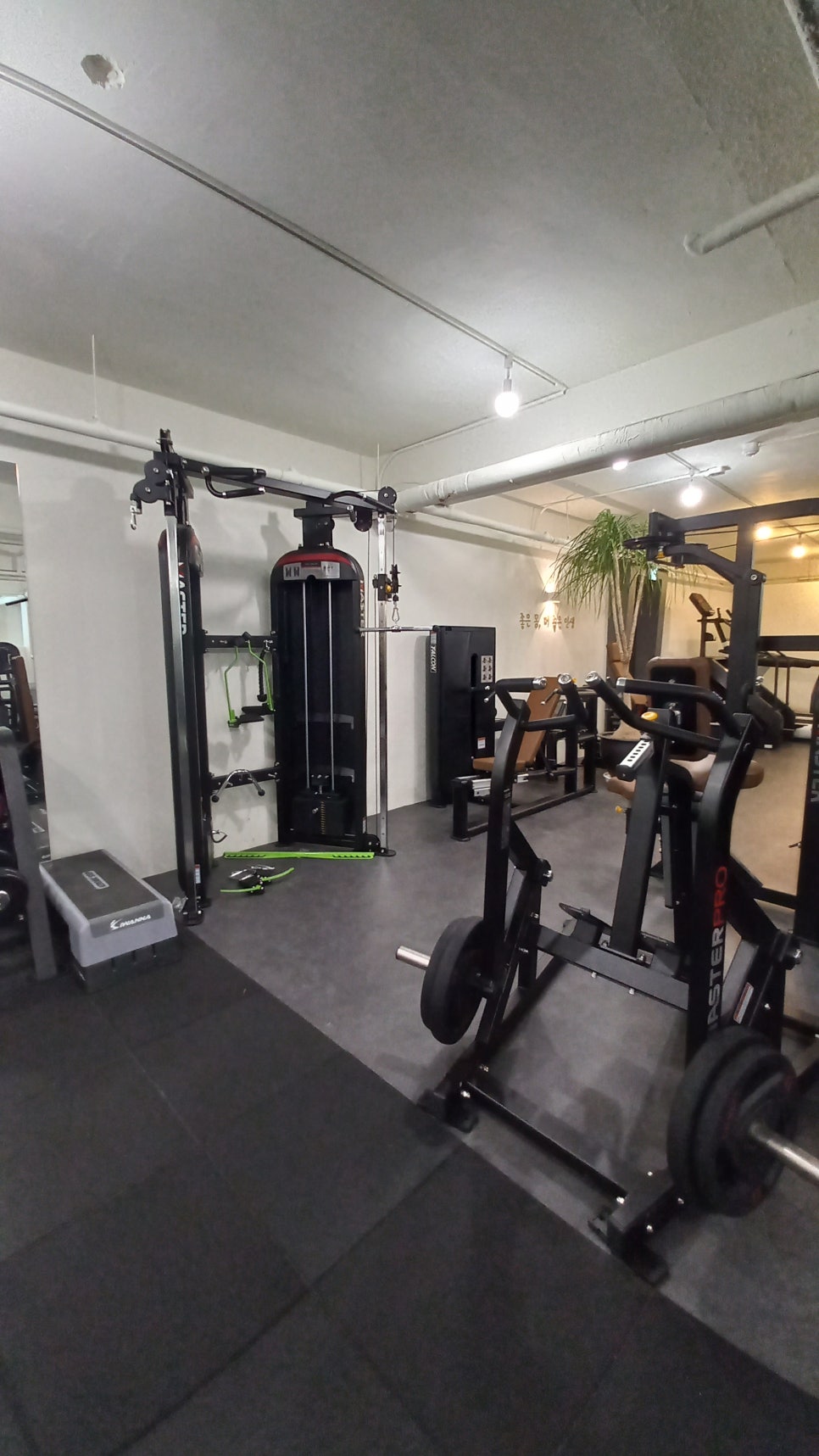 조아Gym 이미지