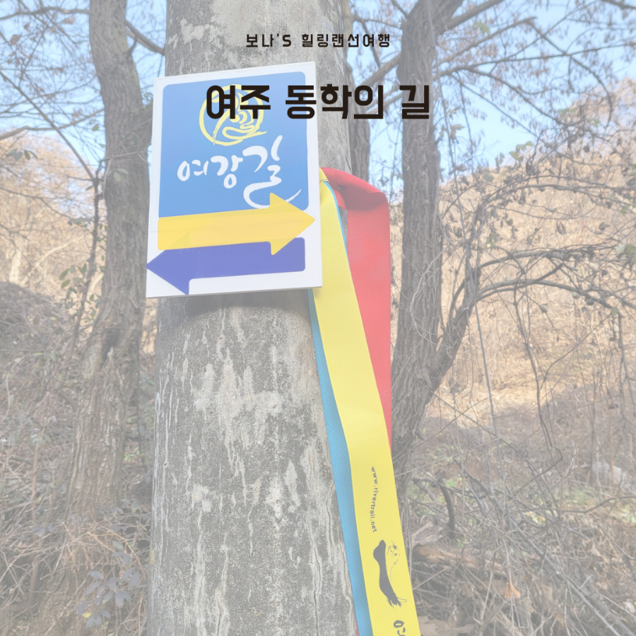 해월여행사 이미지