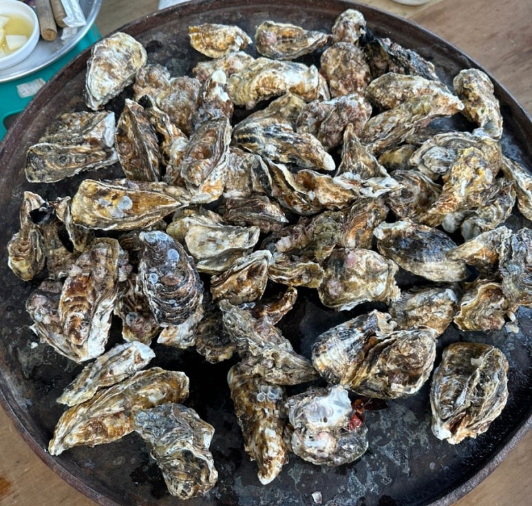은희네 사계절 이미지