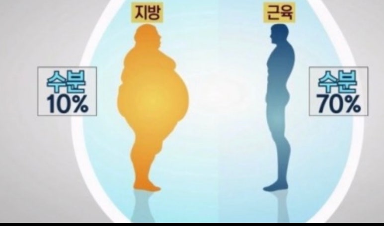 진주헬스 이미지