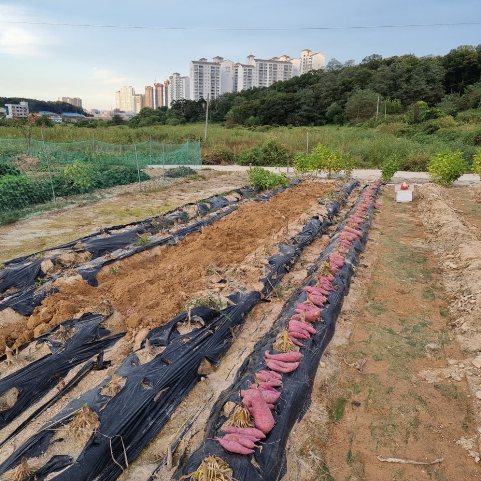 광성공사 이미지