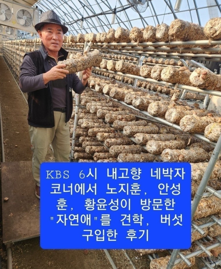 (주)자연애 이미지