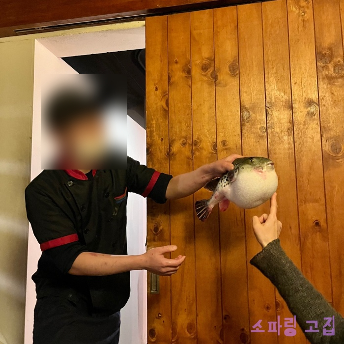 후꾸짱 이미지