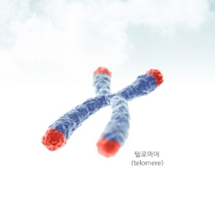바이오랩 주식회사 이미지
