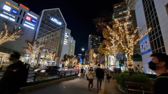 오토하버 이미지