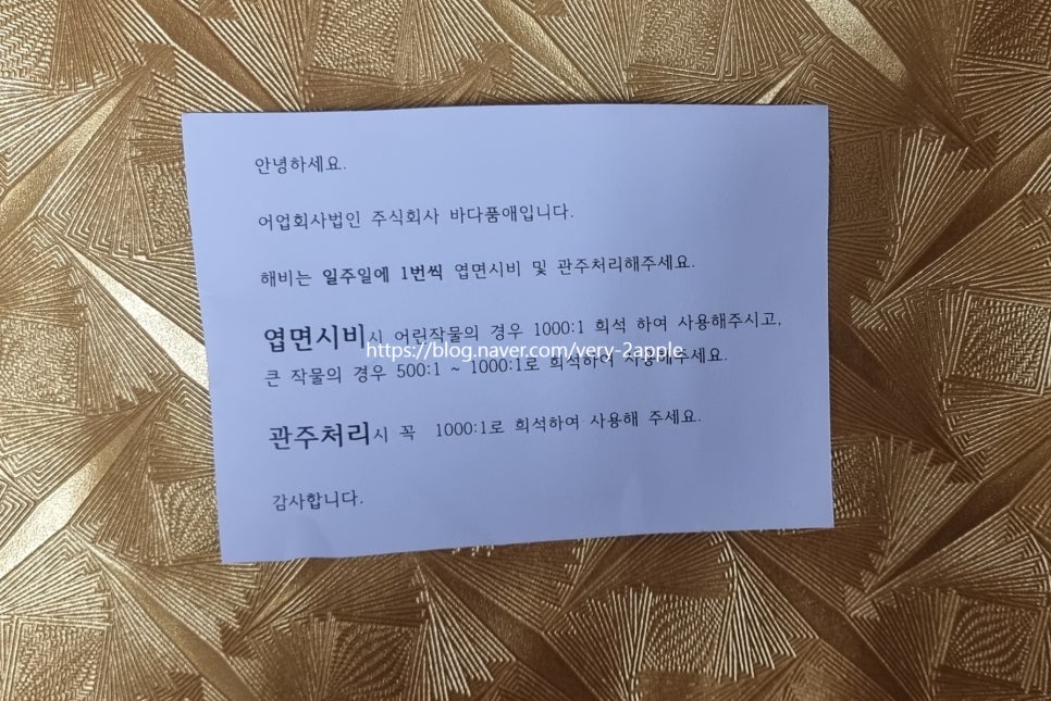 바다품애 이미지