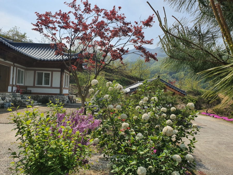 사돈농장 이미지