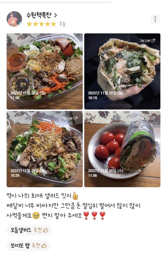 팀보노 이미지