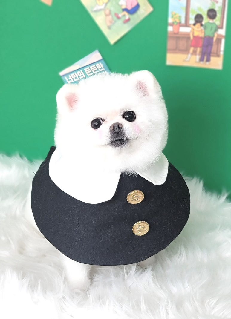 다미살롱 이미지
