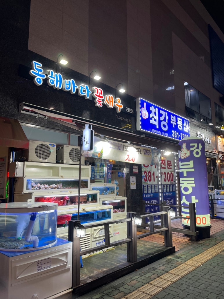 동해바다꽃새우 이미지