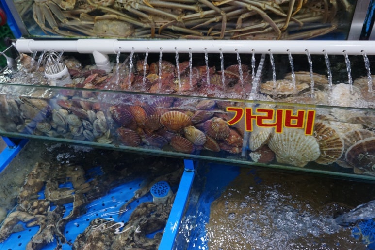 해수크랩 이미지