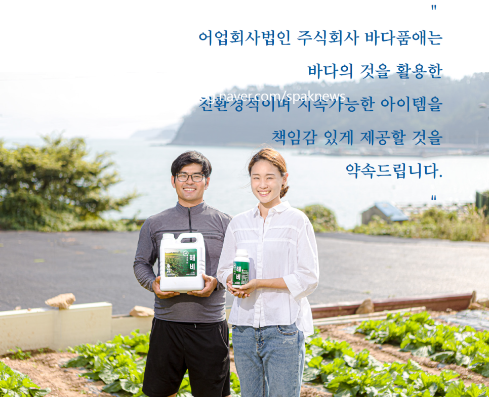 바다품애 이미지