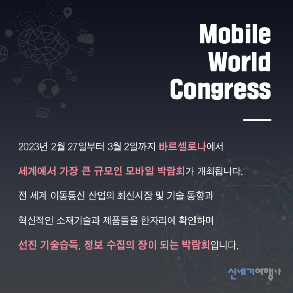 세기국제여행사 이미지