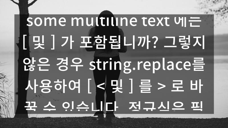 보빈스 이미지