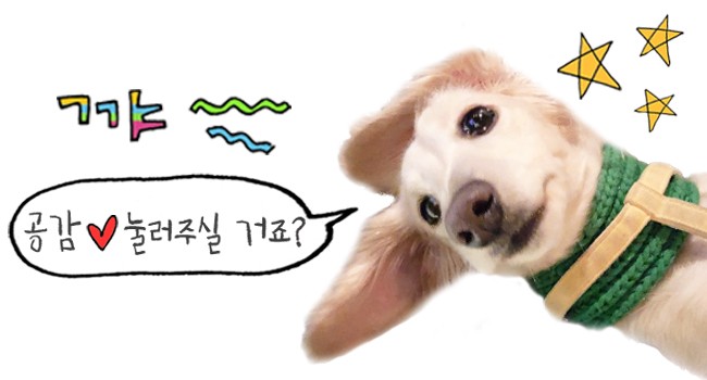 은경이네칼국수 이미지