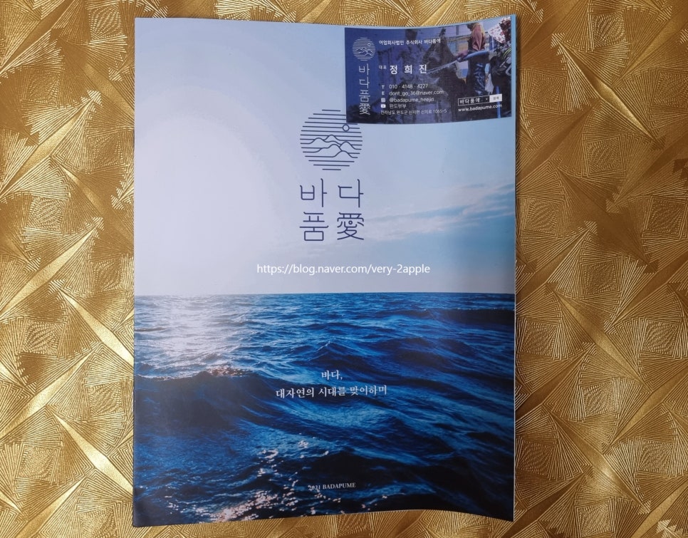 바다품애 이미지