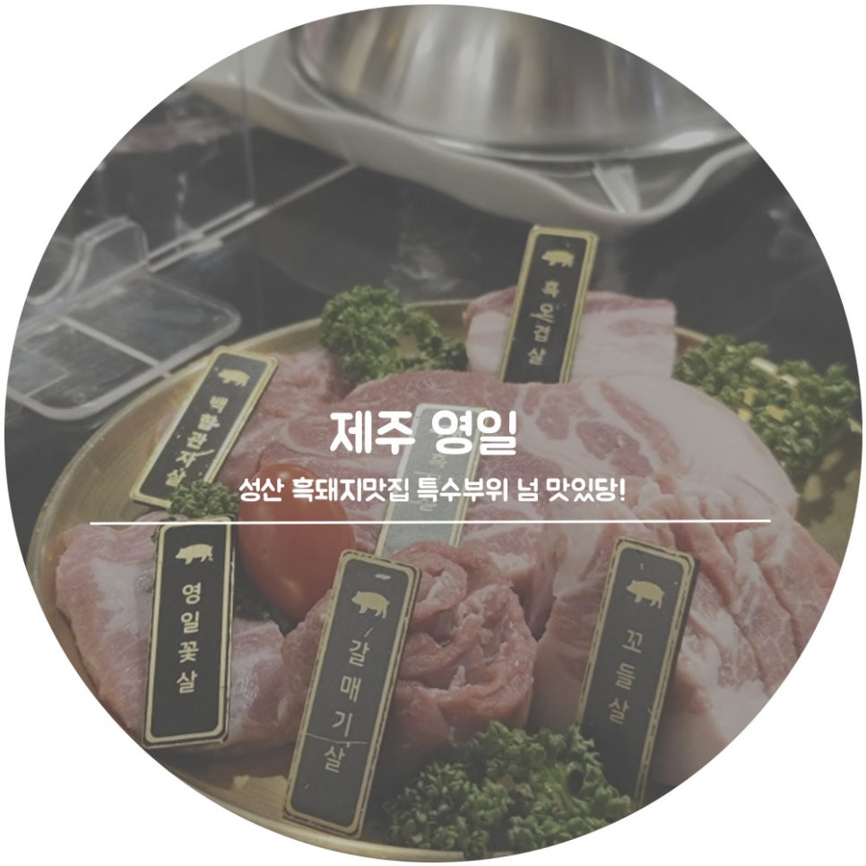영일닭집 이미지
