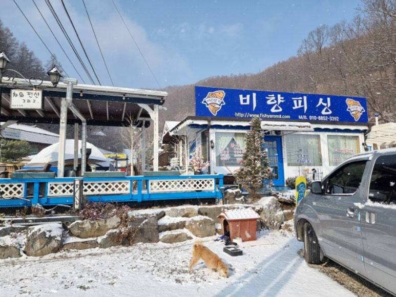 비향피싱 이미지