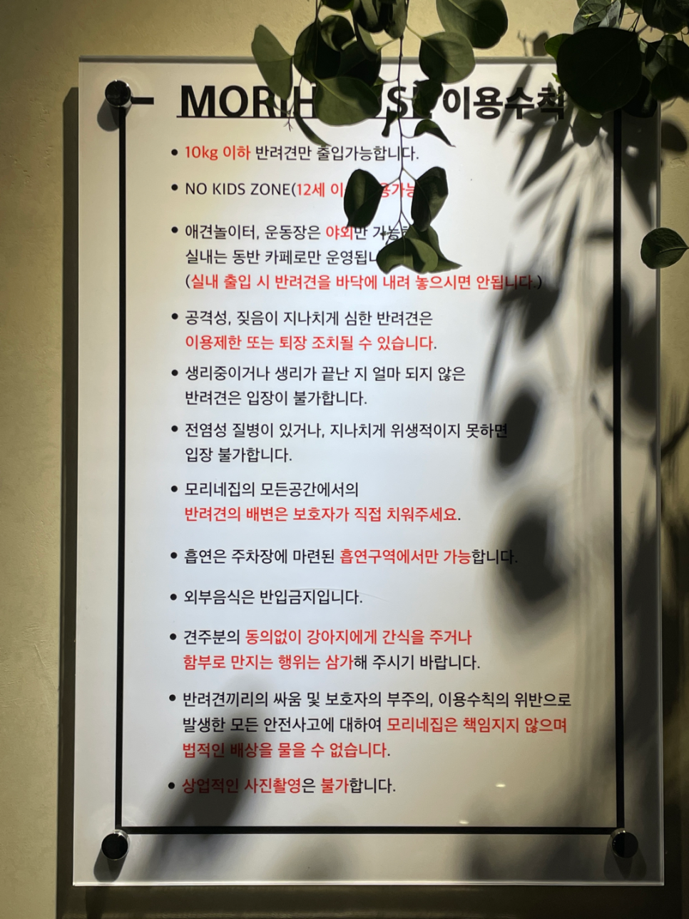 모리키즈카페 이미지