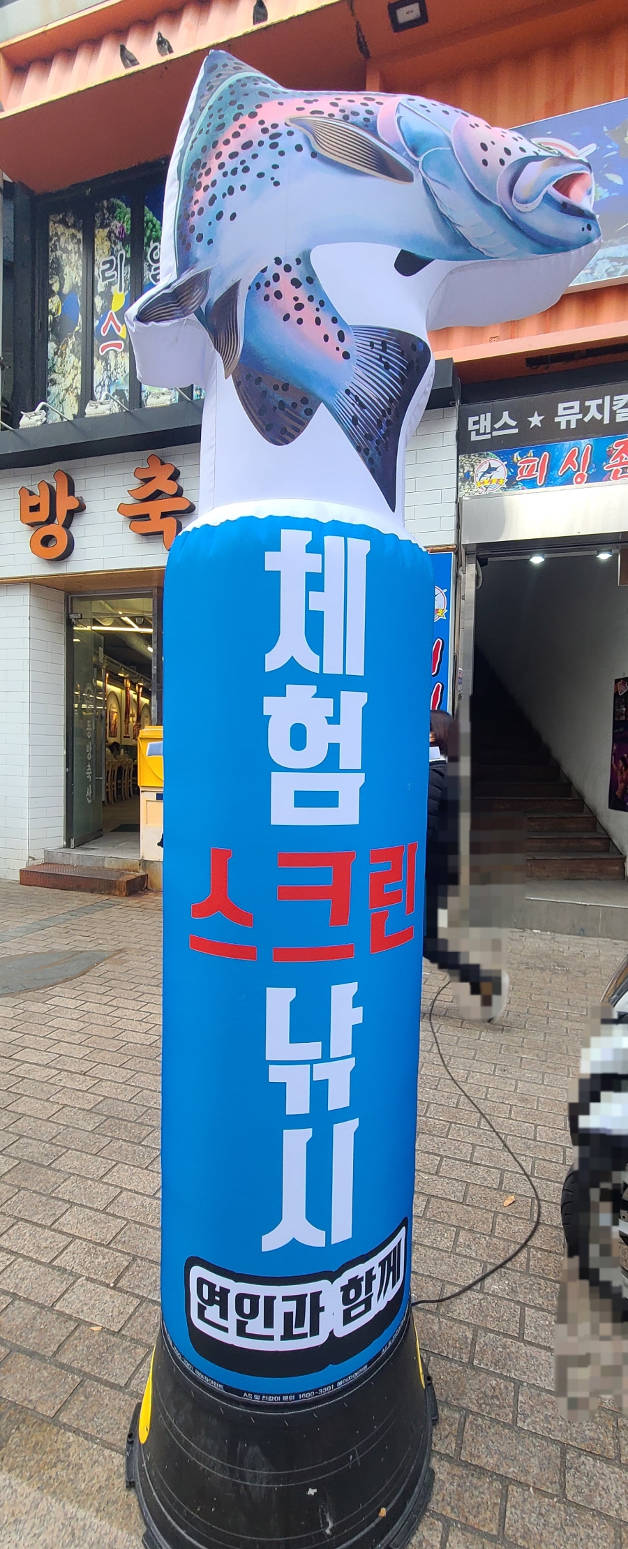 피싱존스크린낚시 이미지