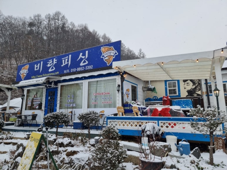 비향피싱 이미지